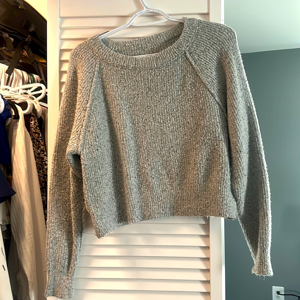 Express Sparkly Knit Cropped Sweater
